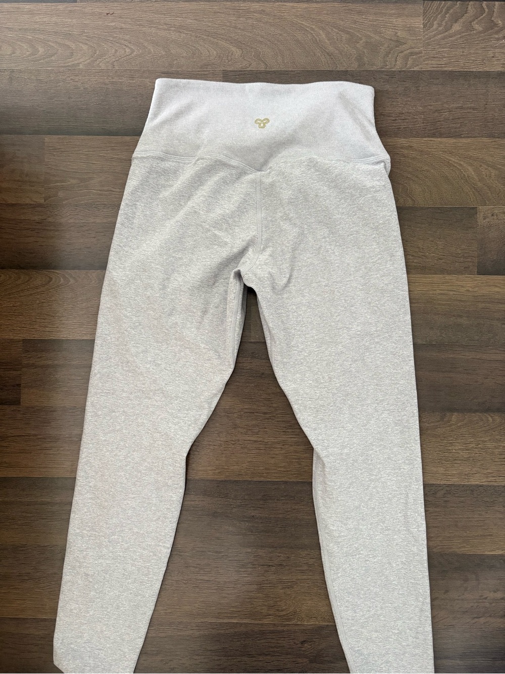 Aritzia Golden Grey Leggings